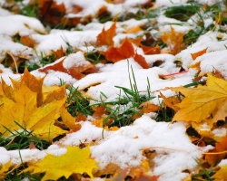 Λαϊκά σημάδια του φθινοπώρου της πρώιμης, αργά, ζεστού, κρύου, καιρικού καιρού το φθινόπωρο, τα φθινοπωρινά σημάδια για το χειμώνα για παιδιά, παιδιά προσχολικής ηλικίας, μαθητές: Λέξεις