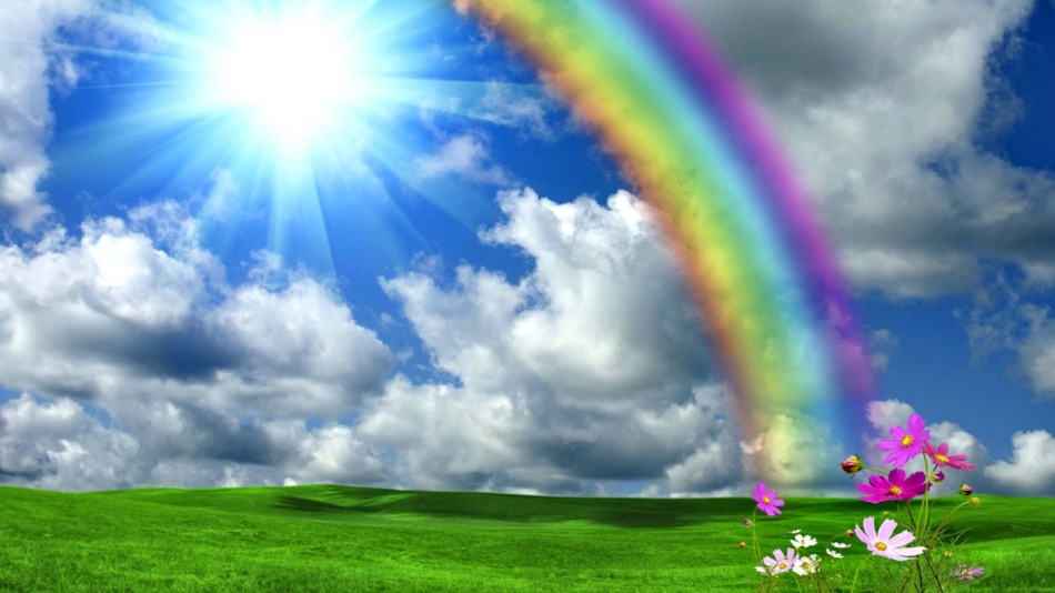 Why is the rainbow of color on the sky during the day: interpretation of sleep