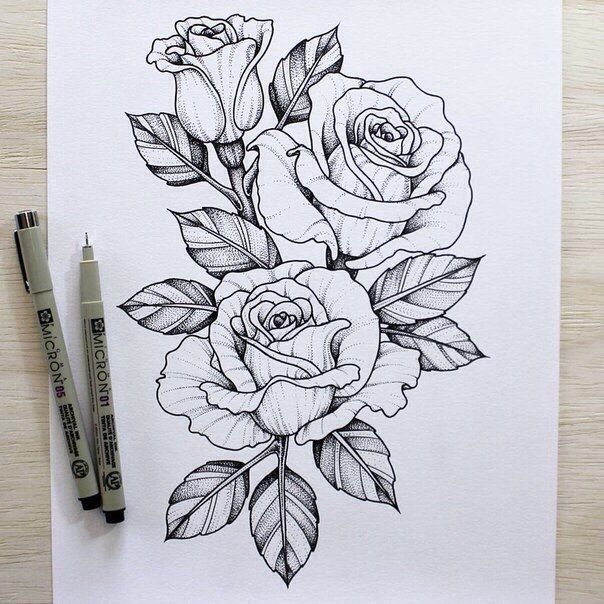 Подобные рисунки-эскизы для тату в виде розы достаточно популярны