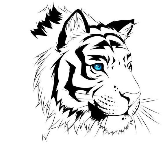 Animal stencils for drawing - ideas, photos of templates