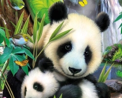 Как нарисовать панду карандашом поэтапно для начинающих? Как нарисовать панду Кунфу и милую панду?