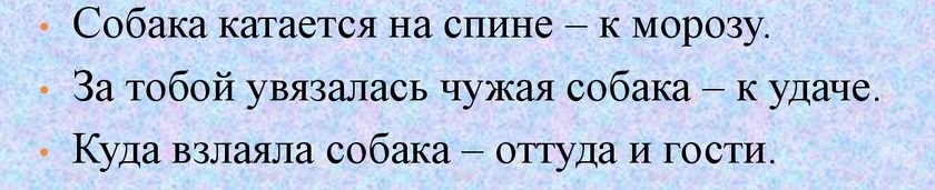 Народные приметы, связанные с собакой