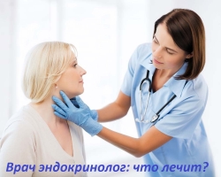 Who is the endocrinologist, what does he heal?