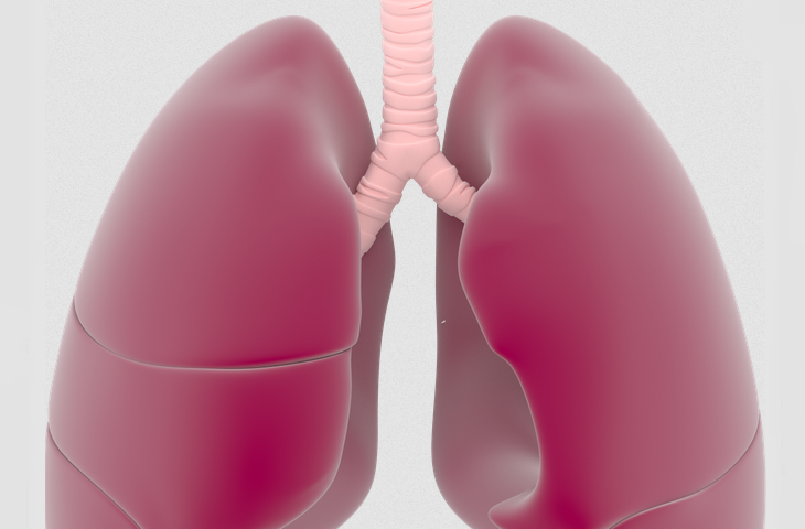 Qui est nocif pour les poumons: 8 facteurs principaux. Est-il nocif de faire CT, x -ray, fluorographie des poumons?