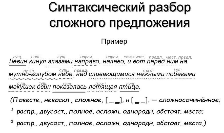 ตัวอย่างการแยกประโยคที่ซับซ้อน