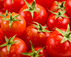 Чем отличается томат от помидора? Как правильно называть: томат или помидор?