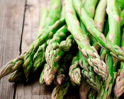 Hidangan asparagus hijau: sup, rebusan sayuran, panini, risotto, casserole. Resep mengepul, dalam slow cooker, digoreng dalam wajan