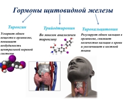 What tests to take to check the thyroid gland: preparation, how to take it correctly?