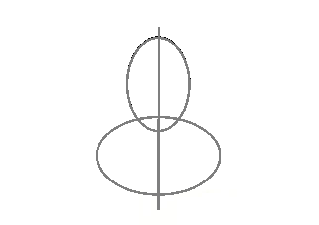 How to draw a flower of iris: building auxiliary lines