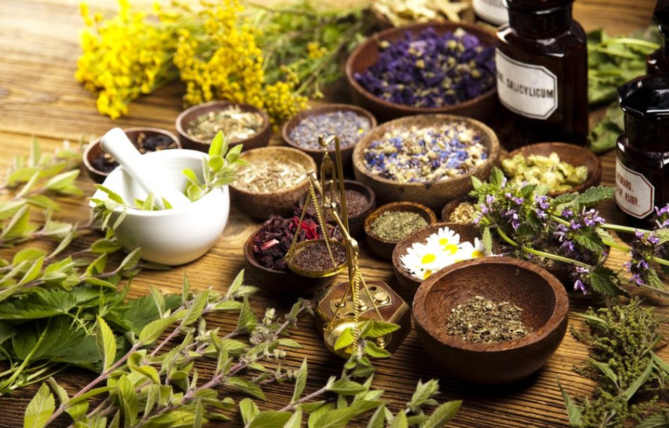 Herbs for the treatment of cystitis