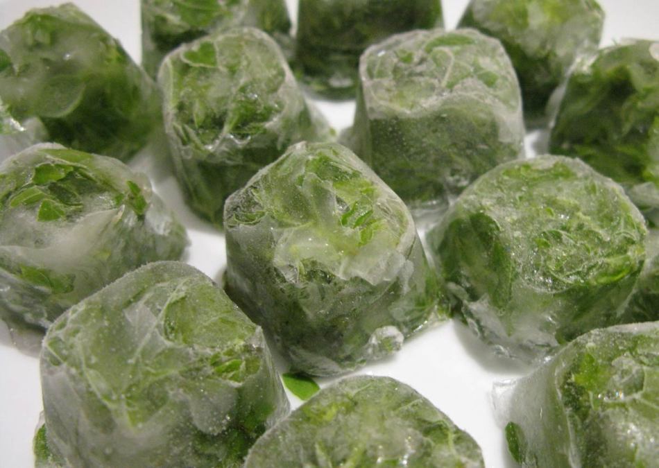 Cubes congelés de feuilles écrasées de salade verte avec de l'eau du congélateur
