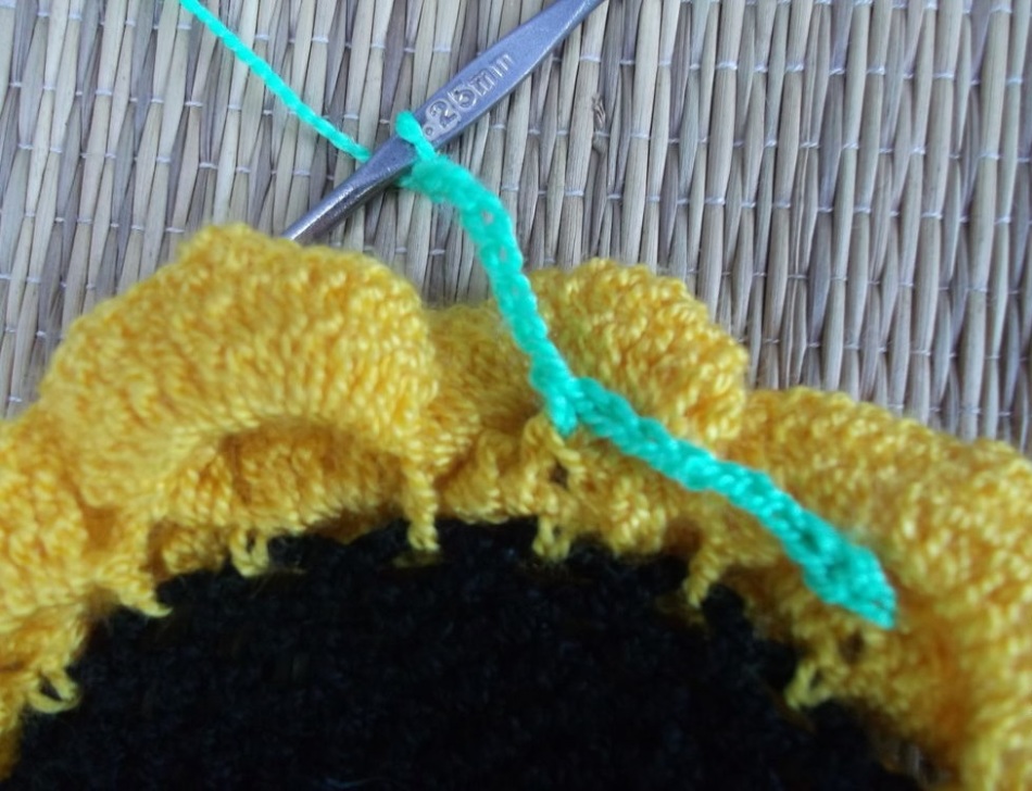The start of knitting light green petals of the Sunflower