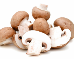 Royal champignons: how they differ from ordinary ones, where they grow, photos. Fresh royal champignons, white mushrooms - how to cook: soup with potatoes