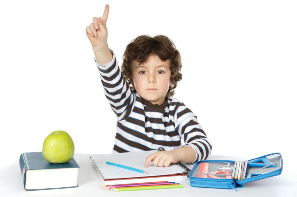 Requirements for the preparation of a child for school