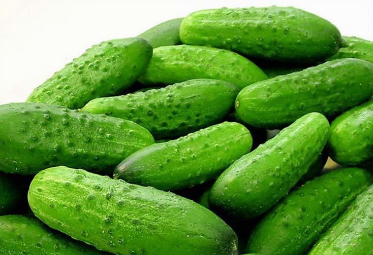 Ecological clean cucumbers