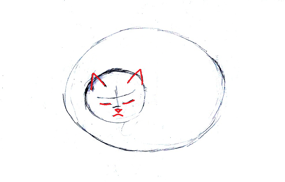 Как нарисовать красиво лежащую кошку: набросок головы животного
