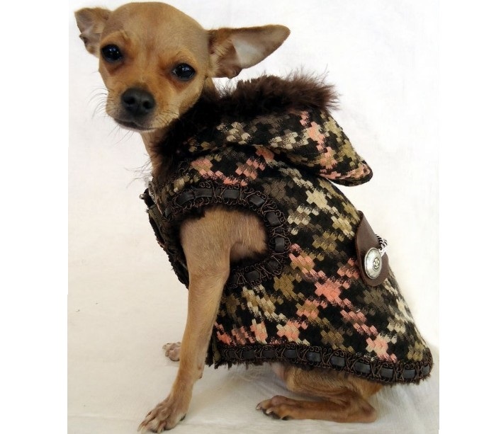 Warm clothes for dogs