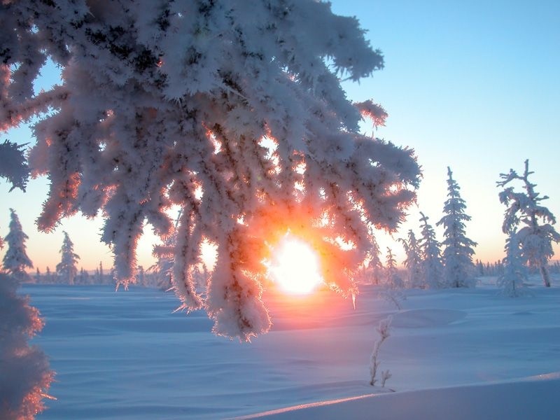 Matahari yang cerah di hari titik balik matahari musim dingin