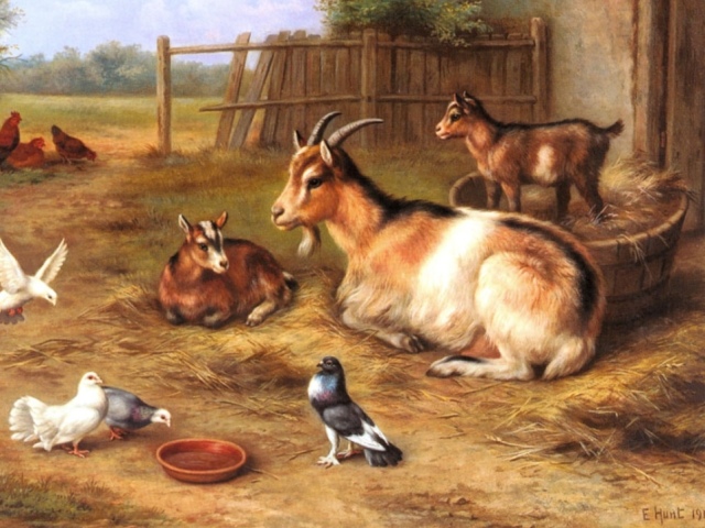 Народные приметы по домашним животным — коровам, телятам, лошадям, свиньям, козам, овцам, кроликам, собакам, кошкам