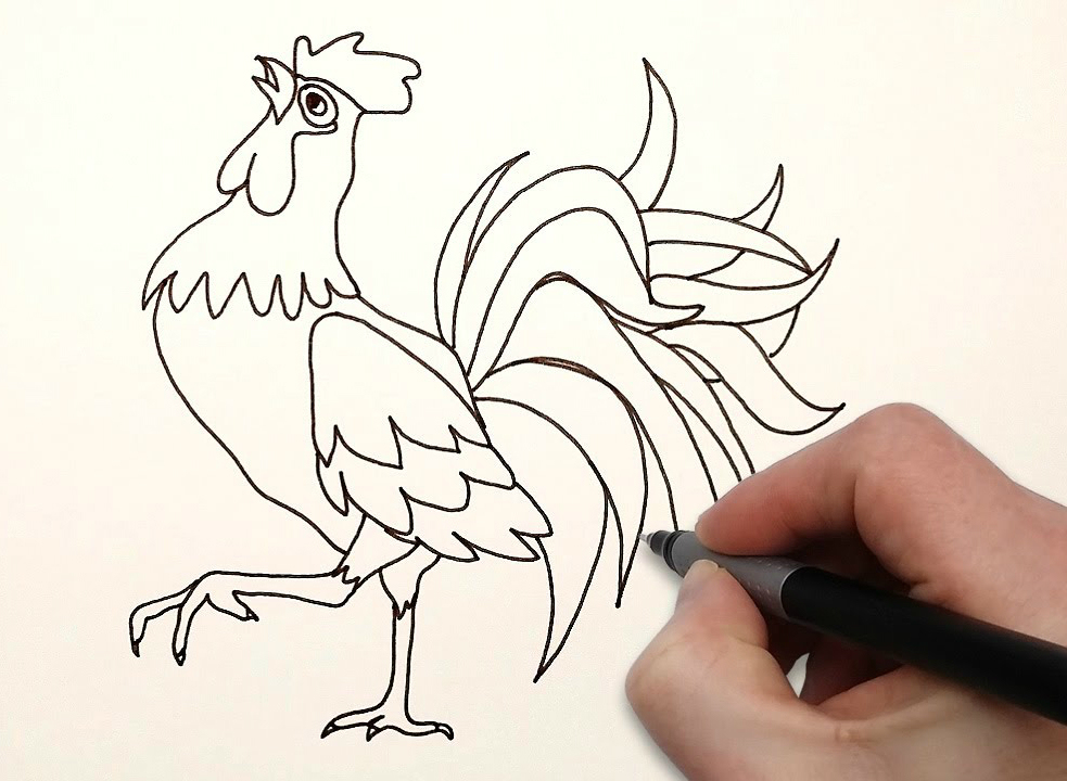 Рисунки петуха для детей карандашом для срисовывания