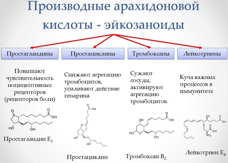 Производные арахидоновой кислоты