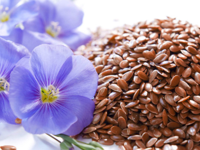 Comment prendre des graines de lin pour la perte de poids? Régime de lin