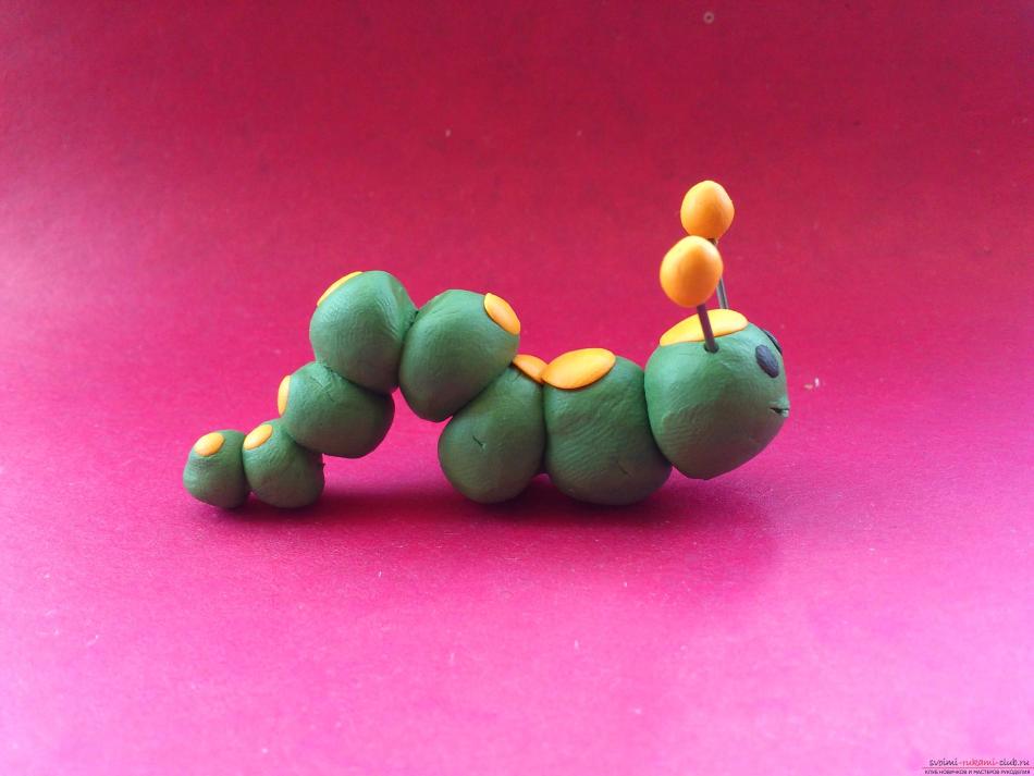 How to make a plasticine caterpillar. The result of the work