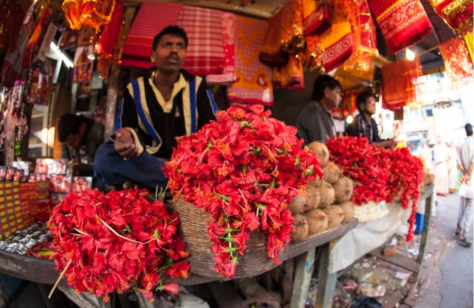 Для последователей индуизма алые цветы гибискуса символизируют чувства и душу человека