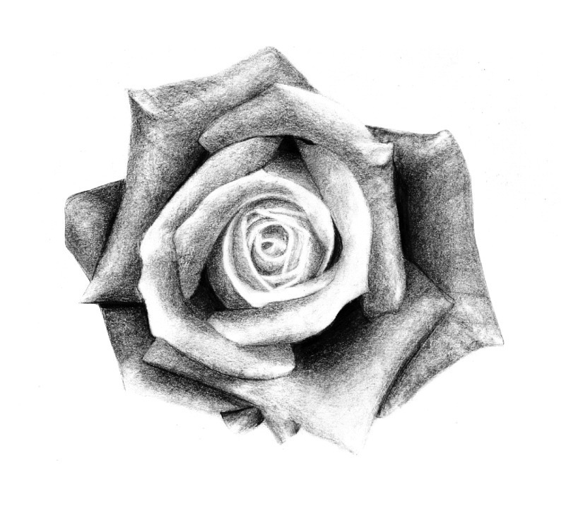 Tattoo drawing on the hand in the form of a rose
