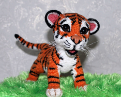 Comment attacher un tigre au crochet: schémas, description, conseils, photos, vidéos