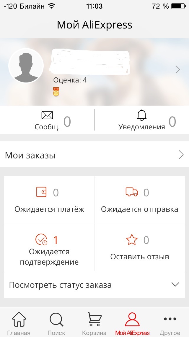 Kami memasukkan aplikasi seluler AliExpress