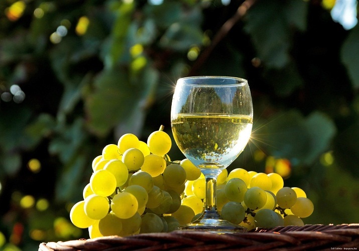Белое сухое вина также поможет повысить нижнее давление