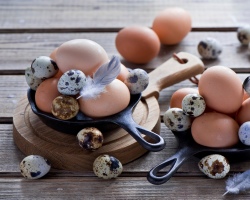 Koliko kalorij je v enem siru in kuhano jajce, kuhano, mehko? Vsebnost kalorij za kuhano, ocvrto in surovo piščančjo in prepelice, beljakovin in jajca rumenjaka 1 pc in 100 gramov: miza. Ali je mogoče jesti surova, kuhana in ocvrta jajca z izgubo teže?