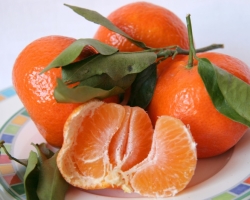 How to grow homemade tangerine? Proper care, reproduction, illness and trimming of home mandarin