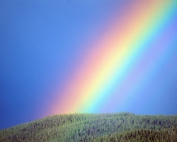 Warum und wie erscheint der Regenbogen? Welches natürliche Phänomen ist die Grundlage eines Regenbogens? Warum ist der Regenbogen mehrfach gelöscht? Gibt es im Winter einen Regenbogen?