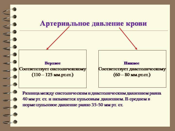 Нормы показаний ад