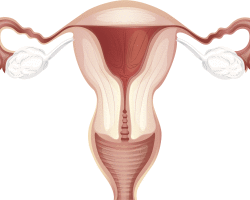 Ridurre l'utero dopo il parto. Quanto è ridotto l'utero dopo il parto? Cosa fare per prendere il contratto dell'utero?