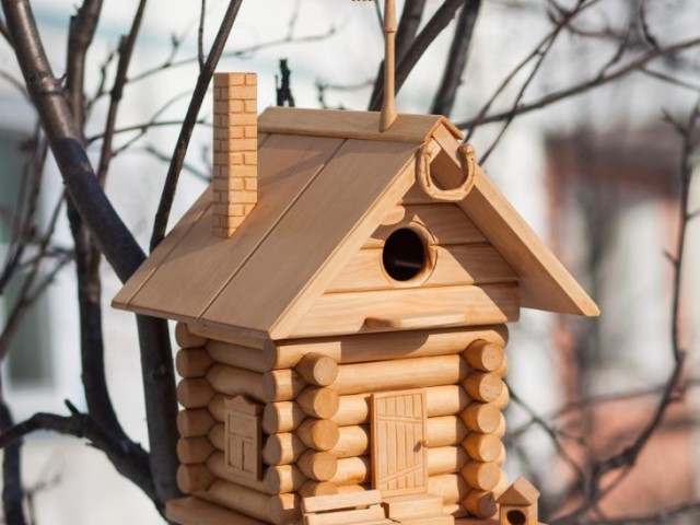 How to make a beautiful birdhouse with your own hands from improvised materials for starlings and different types of birds to kindergarten, school, to the country, competition correctly: drawings, sizes, templates, step -by -step instructions, photos. What can you make a bird bird from?