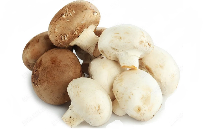 Vanliga och kungliga champignons