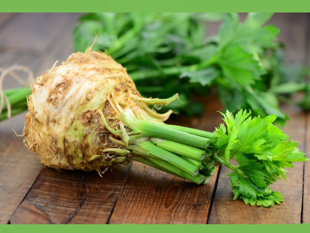 Celery root and stalks: therapeutic properties and contraindications for men and women, recipes and rules for use for medical purposes, pregnancy and breastfeeding, reviews