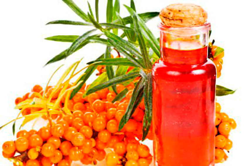 Sea buckthorn oil