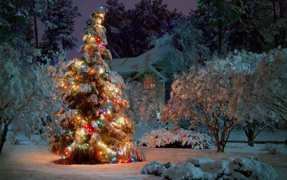 The best design of New Year's street Christmas trees