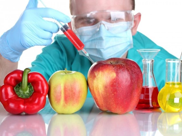 Реферат: Генетически-модифицированные организмы ГМО . Их опасность для человека и окружающей среды