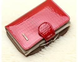 Apakah mungkin memberikan dompet Anda kepada orang lain? Apa yang harus dilakukan jika dompet masuk ke tangan yang salah?