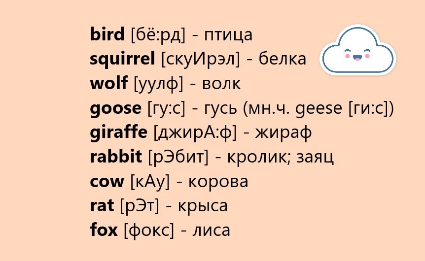 Названия животных на английском