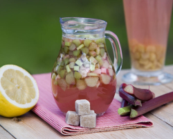 RHUS COMPOTE: benefici e danni. Gustosa composta di rabarbaro: ricetta per bambini, in una pentola lenta