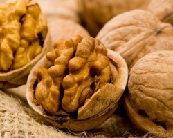 Why can't you eat a lot of walnuts to a man and a woman? What will happen if you eat a lot of walnut? Are there a lot of iodine and protein in walnuts? Is there any oxalic acid in walnuts?