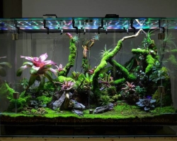 How to make and arrange a terrarium for a turtle, lizard, snails, snakes, iguans, chameleon, plants, flowers, spiders, geckone, ants, rodents, hamster, runner, cockroaches, agama, mantis: ideas of suspended and desktop terrariums, drawings, description, description, description a photo