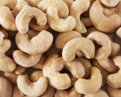 Можно ли есть сырые орехи кешью — польза и возможный вред. Как правильно кушать сырые орехи кешью?