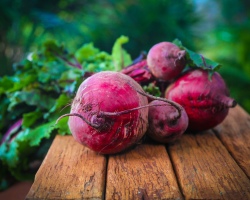 چه موقع چغندر قرمز را از تختخواب برای ذخیره سازی و نحوه ذخیره چغندرها در انبار ، در آپارتمان ، در خانه برای زمستان خارج کنید؟ آیا این امکان وجود دارد و چگونه می توان چغندر قرمز را در زمستان در یخچال ذخیره کرد؟